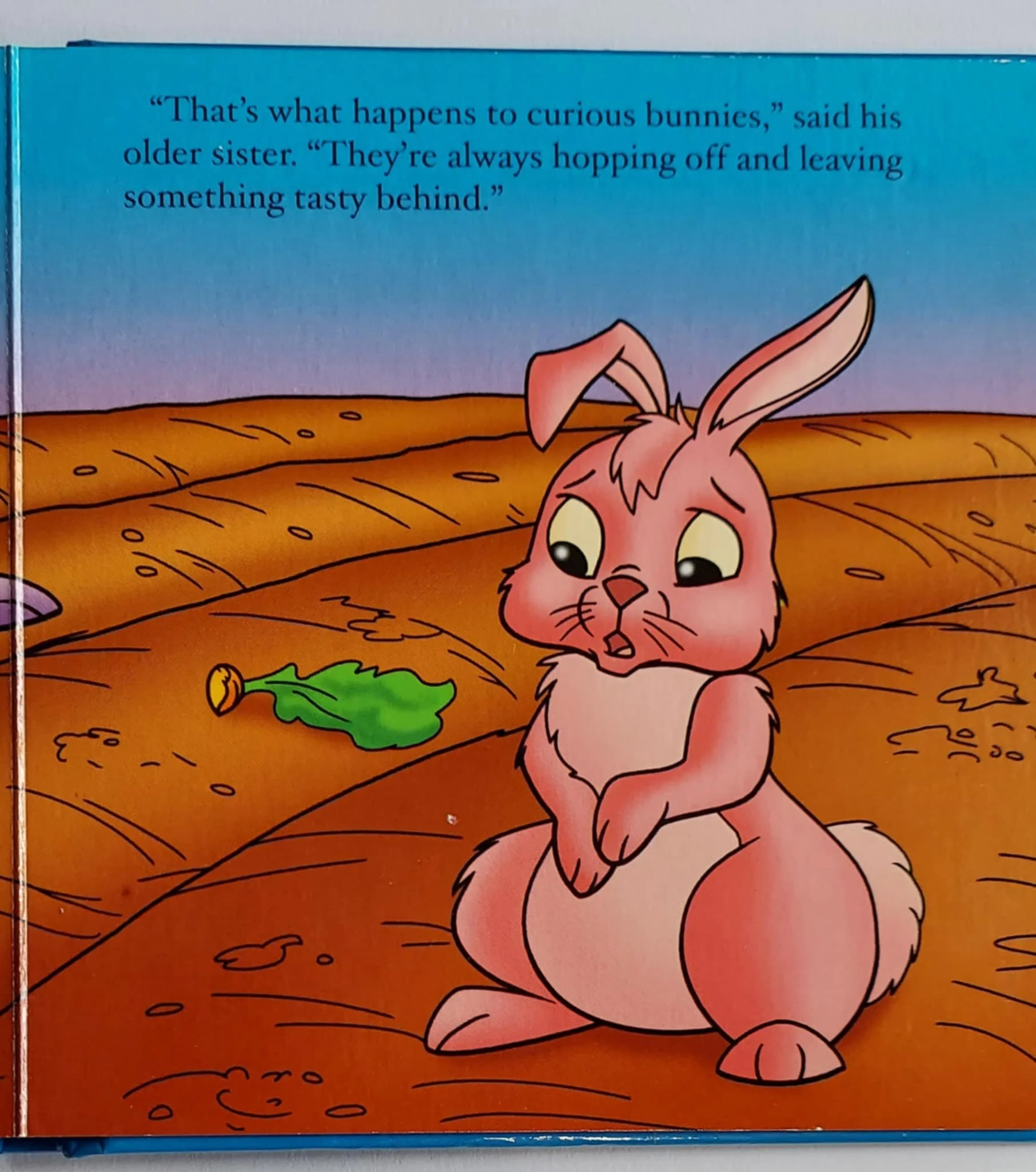 The Curious Bunny by Nancy Parent — P.G's Storybook Emporium